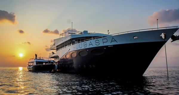 Эксклюзивное путешествие на СКУБА-СПА, Мальдивы